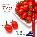 大家ファームのミニトマト アイコ 1.2kg×3回