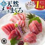 天然目鉢まぐろ 1kg