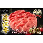 近江牛 すき焼き しゃぶしゃぶ用 赤身 霜降り