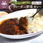 ヴィーガン野菜カレー6食セット〈レトルト〉