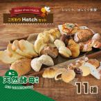 天然酵母 パン こだわりセット