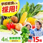 高槻おまかせ野菜詰め合わせセット 4月