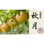 ショッピングふるさと納税 梨 ふるさと納税 梨 秋月 約 5kg 6玉〜14玉 (茨城県共通返礼品 かすみがうら市) [DH004sa] 茨城県桜川市