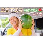 すいか 1玉
