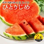 紀州和歌山産 小玉スイカ ひとりじめ 2玉