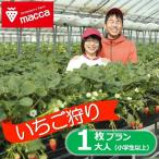 いちご畑maccaで使えるいちご狩りチケット