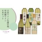 ワイン 日本ワイン生誕の地 甲州種ワイン6本セット