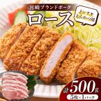 ロース トンテキ とんかつ用 計500g