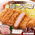 ロース トンテキ とんかつ用 計1.5kg