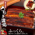 1688-3 鹿児島 うなぎ 合計 320g