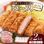 ロース トンテキ とんかつ用 計2kg