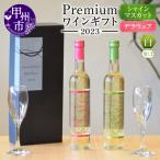 ワイン Premiumワイン 白 飲み比べ500ml×2本