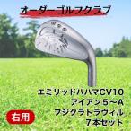 エミリッドバハマCV10 アイアン5~A