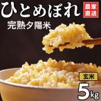完熟夕陽米 玄米 5kg