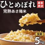 完熟あさ陽米 玄米 5kg