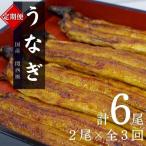 うなぎ蒲焼 2本
