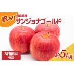 ふるさと納税 【2026年3月前半発送】りんご【訳あり】約5kg サンジョナゴールド | 青森県産りんご 家庭用りんご 青森県五所川原市