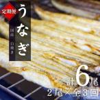 うなぎ蒲焼 2本