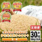 isa538 令和6年産 特別栽培米 永池ひのひかり玄米 計30kg
