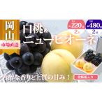 ふるさと納税 桃 ぶどう 2026年 先行予約 果物 詰合せ 白桃 2玉(1玉220g以上)ニューピオーネ 2房(1房480g以上)化粧箱入り もも 葡萄 岡山県.. 岡山県高梁市