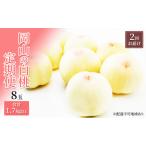 ふるさと納税 桃 定期便 2026年 先行予約 岡山 の 白桃 8玉 合計1.7kg以上×2回 お届け 化粧箱入り もも モモ 岡山産 国産 フルーツ 果物 ギ.. 岡山県高梁市