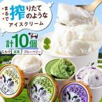 カップアイスクリーム 10個
