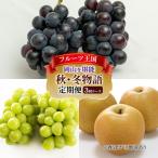 フルーツ定期便 岡山 ぶどう 梨