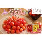 ふるさと納税 【 先行受付 】さくらんぼ 南陽 月山錦 1kg 各500g×1パック 大橋さくらんぼ園 サクランボ チェリー 果物 果物類 フルーツ デ.. 北海道芦別市