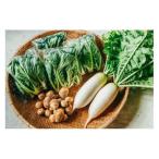 冬野菜3種セット 大 下北春まな 大根 里芋