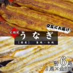 うなぎ蒲焼 2本
