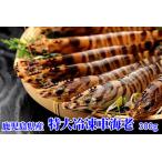 fu.... налог 016-03 Кагосима префектура производство очень большой рефрижератор море .300g Кагосима префектура Minamikyushu город 