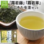心潤す光印の後岳知覧茶 霧若藤 霧若草 やぶきた生茶セット