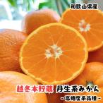 越冬本貯蔵 丹生系 みかん 5kg