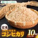 令和8年産 有機JAS認証米 有機於保地米