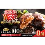 ふるさと納税 【ハンバーグ】しまね和牛 120g 冷凍 8個 [ALGF005] ハンバーグ 島根県松江市