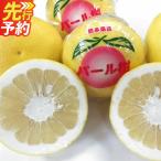 パール柑 ご 約4kg