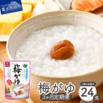 梅がゆ 24食