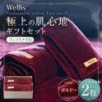 Wellis フェイスタオル2枚 セット