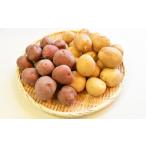 和らぎ農法 ほっこり便 じゃがいも 秋じゃが編 5kg