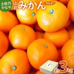 山北みかん マルチ みかん be-0108