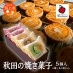 秋田の焼き菓子 5種セット