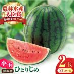 熊本スイカ小玉スイカひとりじめ2玉2Lサイズ西瓜すいかZCM0…
