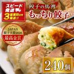 馬渡のもっちり 餃子 肉 小分け 惣菜 240個