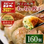 馬渡のもっちり 餃子 肉 小分け 惣菜 160個