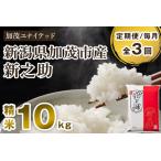 新之助 精米10kg 5kg×2袋