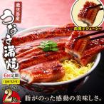 2323-1 鹿児島産うなぎ 合計340g