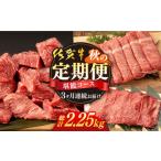 ふるさと納税 【先行予約】【3回定期便】佐賀牛 秋の定期便堪能コース NAB106 牛肉 定期便 佐賀県嬉野市