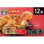 大阪王将 羽根つき餃子 12袋セット