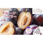 プルーン 1kg