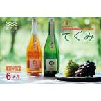 丹波ワイン 6カ月 定期便